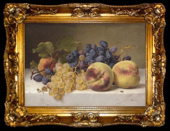 framed  Johann Wilhelm Preyer A Still Life with Peaches and Grapes on a Marble Ledge, ta009-2